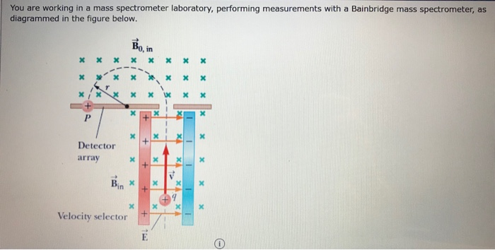 Solved You are working in a mass spectrometer laboratory, | Chegg.com