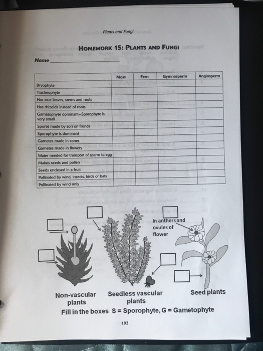 Solved Plants and Fungi HOMEWORK 15: PLANTs AND FUNGI Moss | Chegg.com