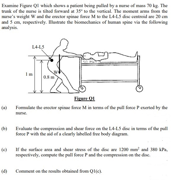 Solved Examine Figure Q1 which shows a patient being pulled | Chegg.com