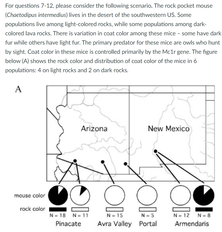 Solved For questions 7-12, please consider the following | Chegg.com