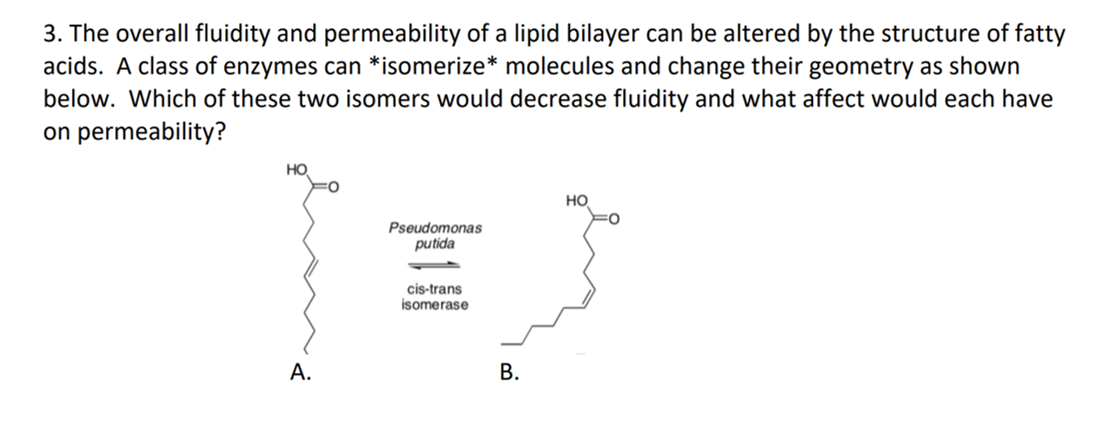 Solved 3. The overall fluidity and permeability of a lipid | Chegg.com
