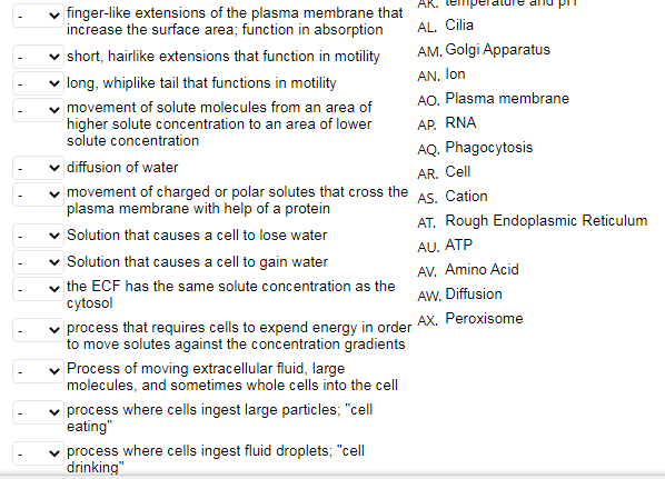 what is the primary source of chemical energy in the body