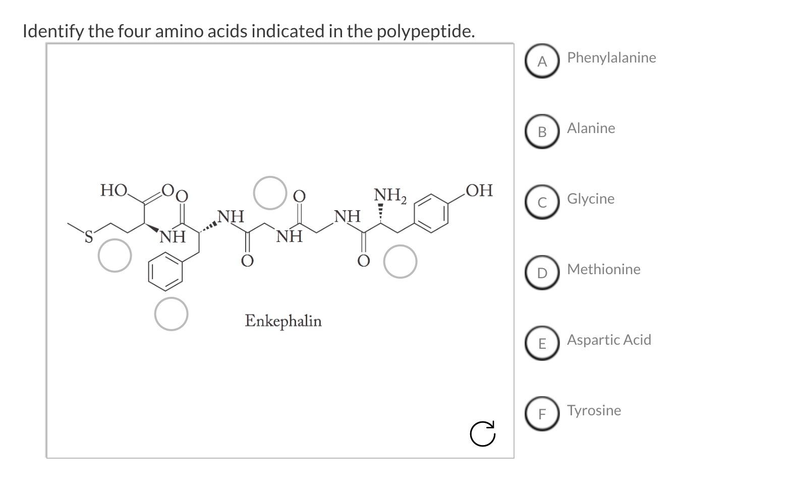 Solved Identify the four amino acids indicated in the | Chegg.com
