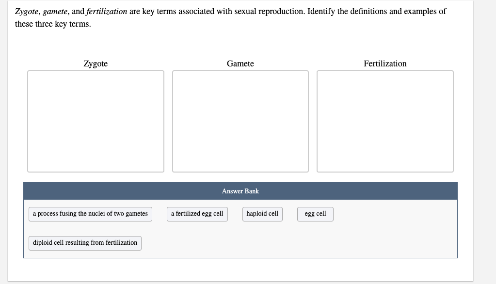 solved-zygote-gamete-and-fertilization-are-key-terms-chegg