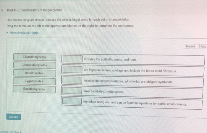 Solved Part F Characteristics of fungal groups Like | Chegg.com