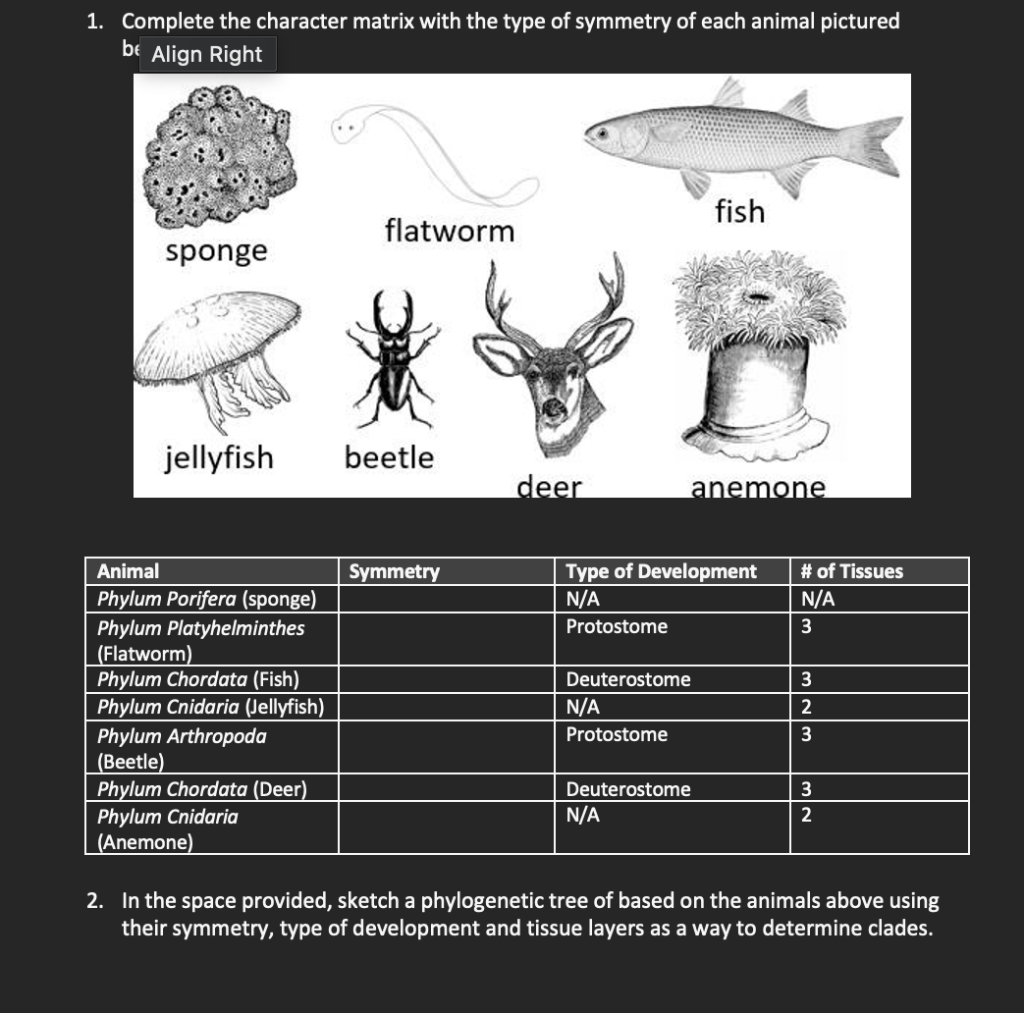 1. Complete the character matrix with the type of symmetry of each animal pictured be Align Right
2. In the space provided, s