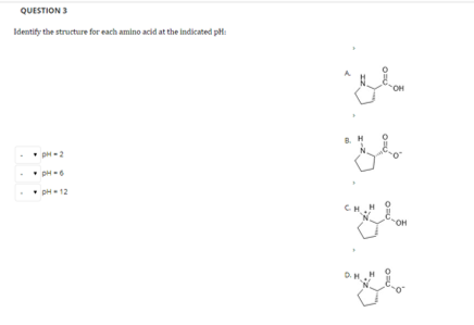 Solved Question 1 Although Only Amino Acids Are In Th Chegg Com