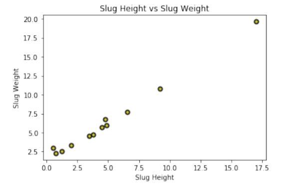 Solved Slug Number 1 2 3 5 6 7 8 9 10 11 12 Alice's slug | Chegg.com