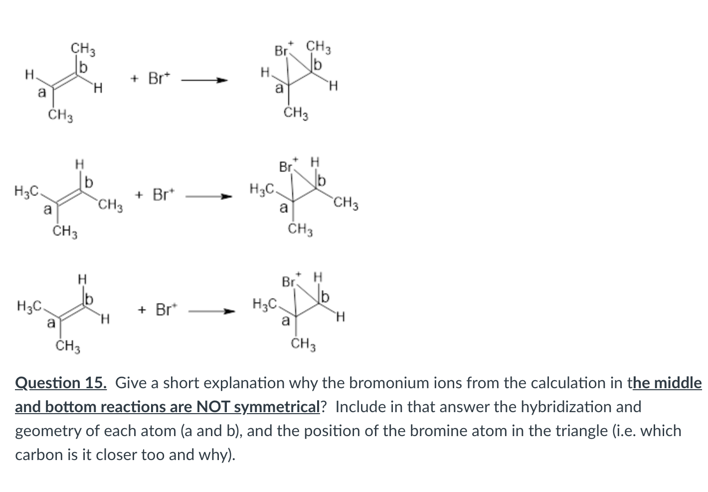 Solved Br* CH3 CH3 B H H + Brt A Ή A CH3 CH3 H B H3C A CH3 | Chegg.com