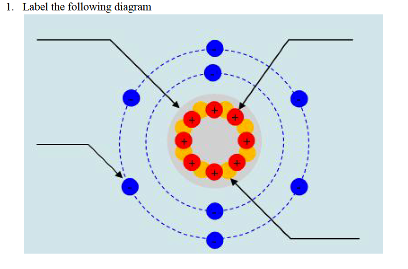 Solved 1. Label the following diagram + + + + | Chegg.com