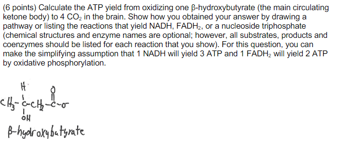 How To Calculate Atp | Krebs Cycle ATP Calculation – JULAL