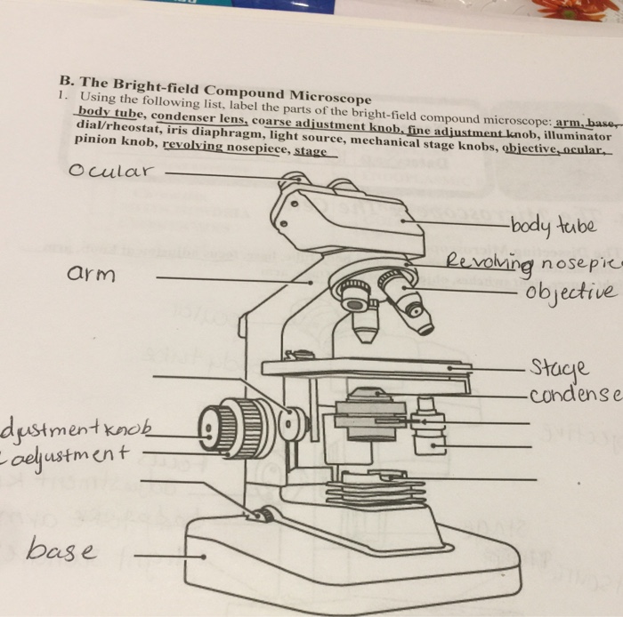 Microscope Diaphragm Function