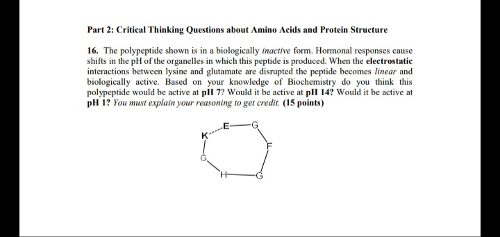 Solved Part 2: Critical Thinking Questions about Amino Acids | Chegg.com