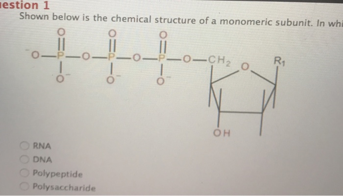 Which Of The Following Pairs Are The Best Examples Of Homologous