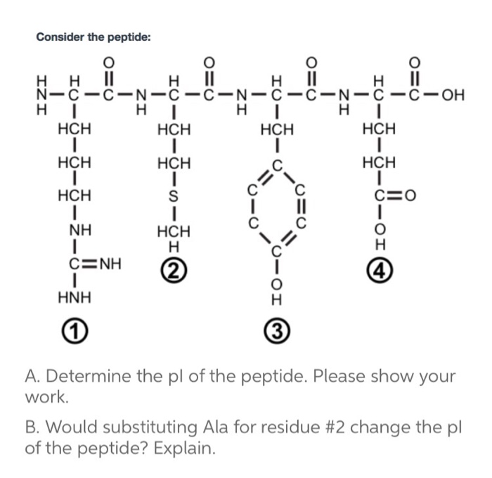 Solved Consider The Peptide: Determine The Pi Of The | Chegg.com