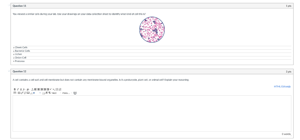 Solved Question 5 1 pts You viewed a similar cell during | Chegg.com