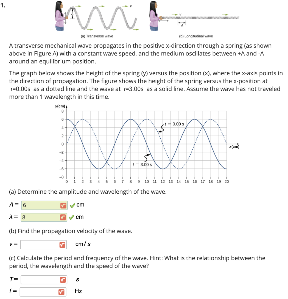 Solved 1 M a Transverse Wave b Longitudinal Wave A Chegg