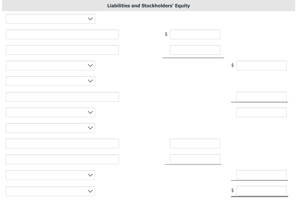 Liabilities and Stockholders Equity
\( \$ \)
\( \$ \)