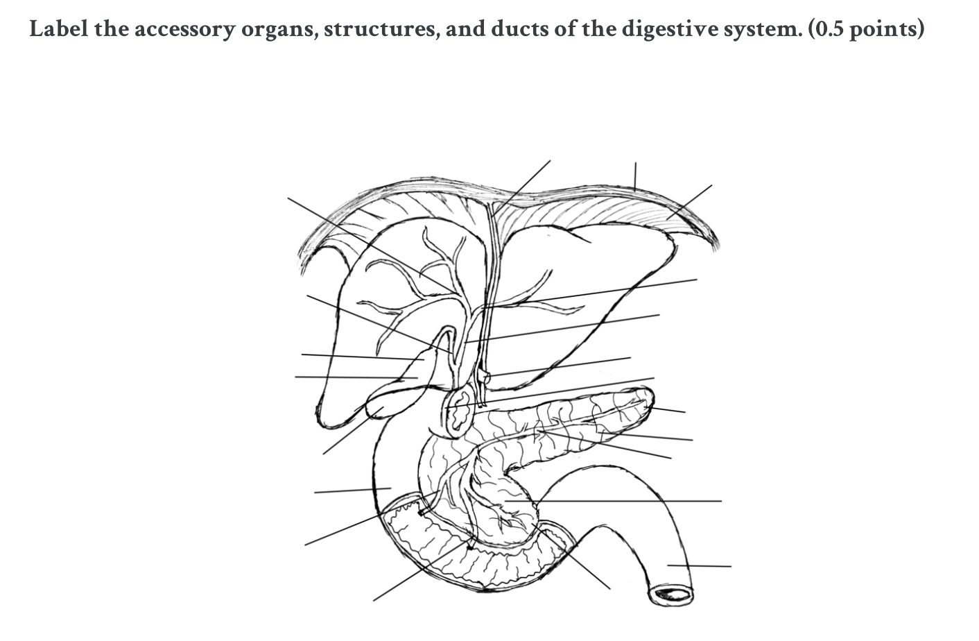 Solved Label the accessory organs, structures, and ducts of