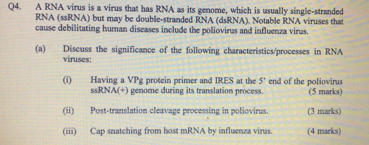 Solved Q4 A Rna Virus Is A Virus That Has Rna As Its Chegg Com