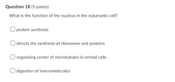 What is the function of the nucleus in the eukaryotic cell?
protein synthesis
directs the synthesis of ribosomes and proteins