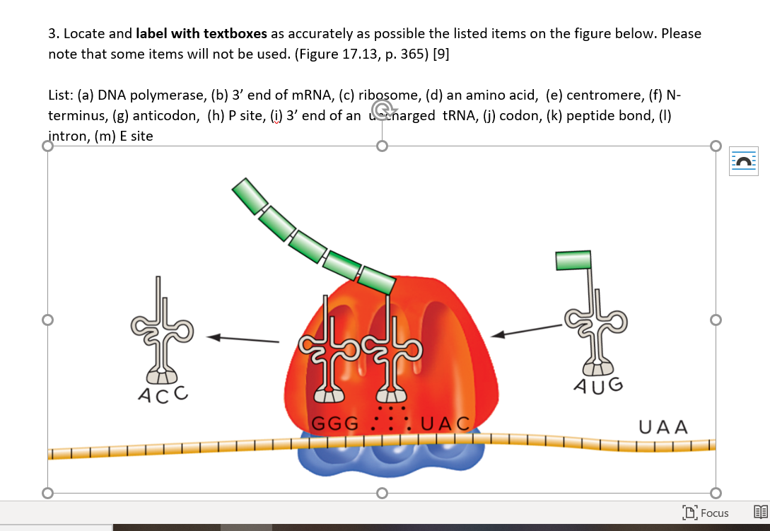 Solved 3 Locate And Label With Textboxes As Accurately A Chegg Com