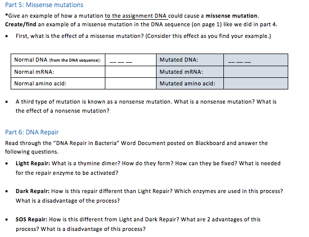 Dna Mutation Practice Worksheet Answers - Admuscente