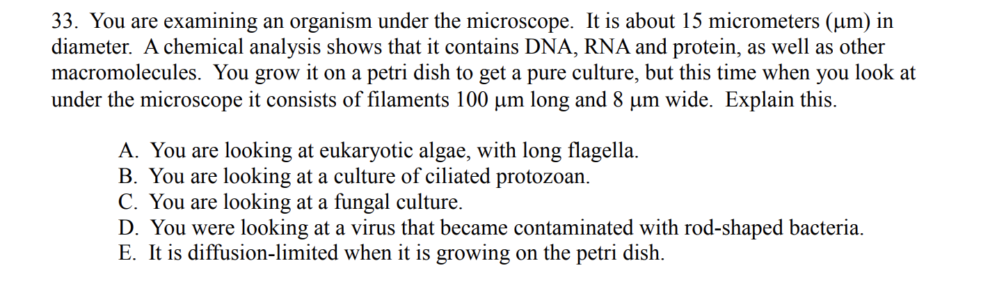 Solved 33. You are examining an organism under the | Chegg.com