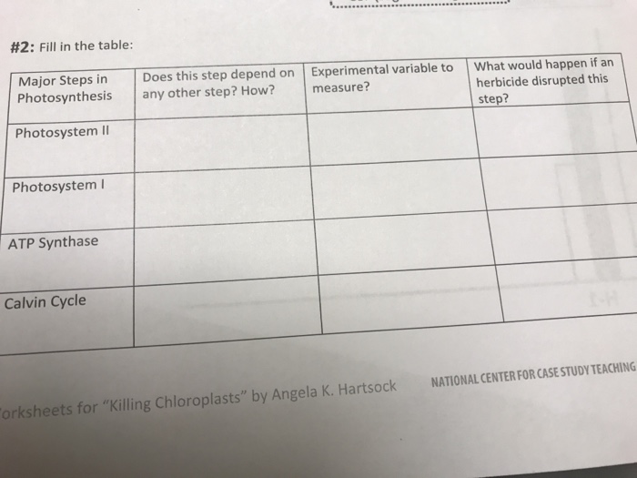 Fill In The Table Major Steps In Photosynthesis