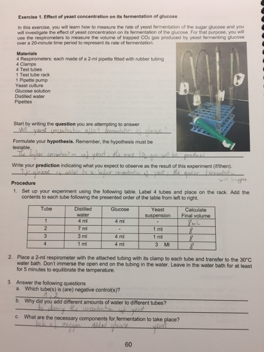 research papers on alcohol fermentation