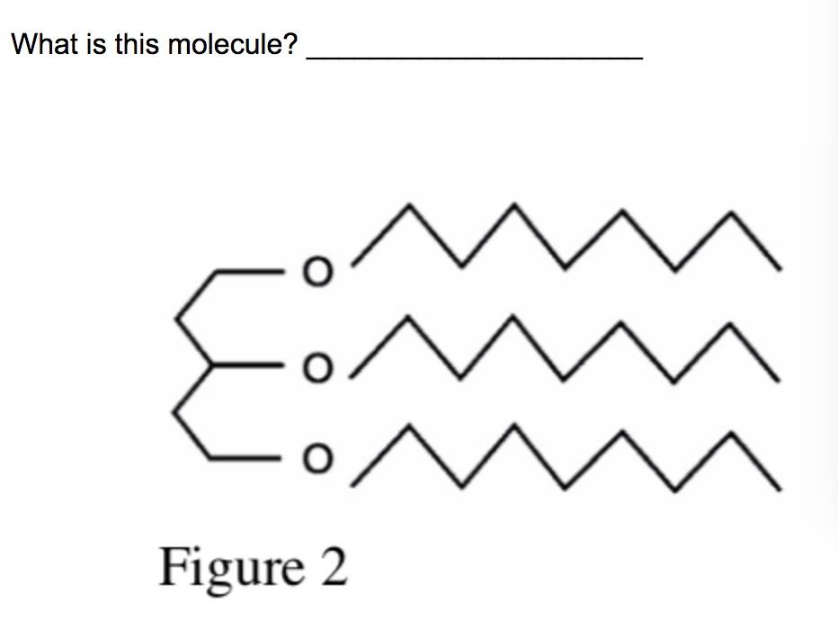 Solved What is this molecule? ^ Figure 2 | Chegg.com