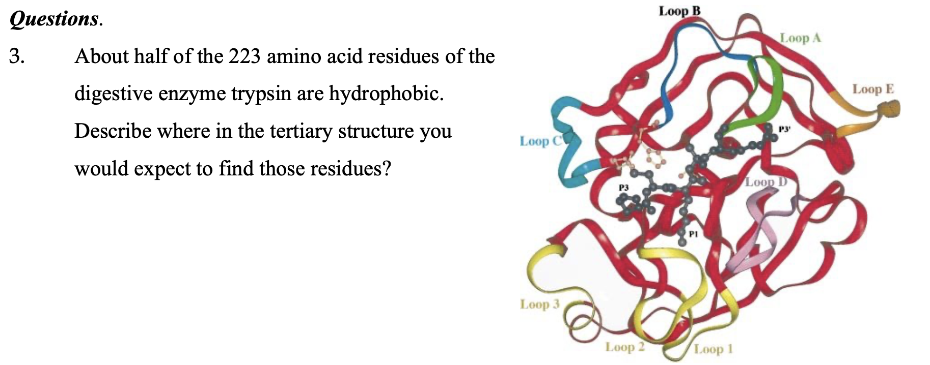 Solved Questions. Loop B Loop A 3. About half of the 223 | Chegg.com