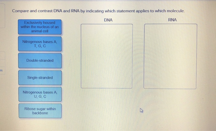 Solved Compare And Contrast DNA And RNA By Indicating Which | Chegg.com