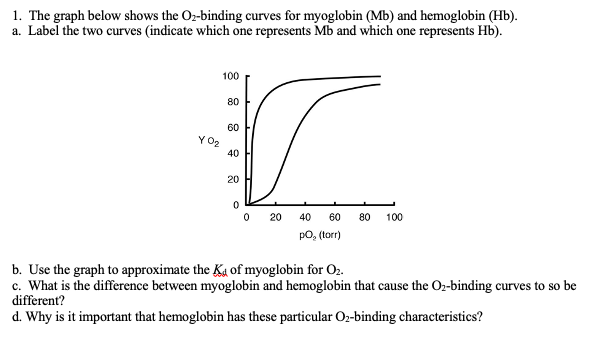 Solved 1. The graph below shows the Oz-binding curves for | Chegg.com