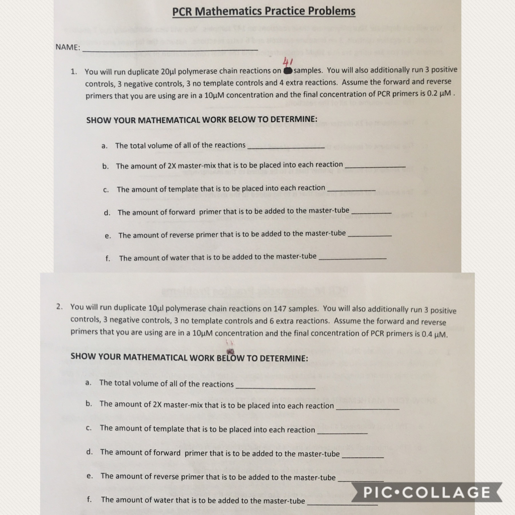 PCR Mathematics Practice Problems NAME: 41 1. You | Chegg.com