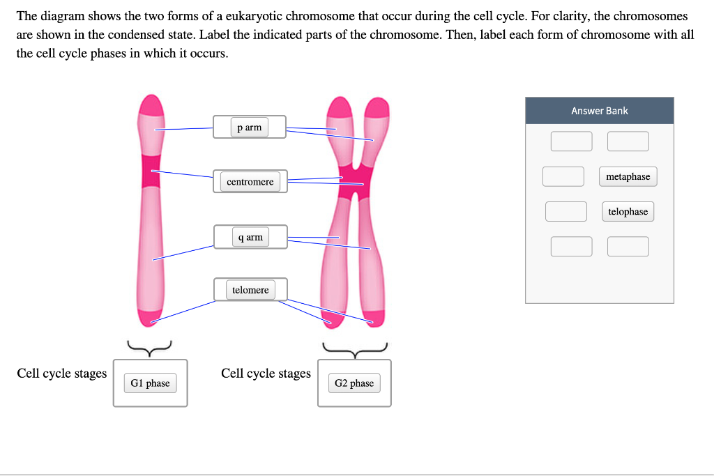 diagram-shows-wiring-diagram-and-schematics