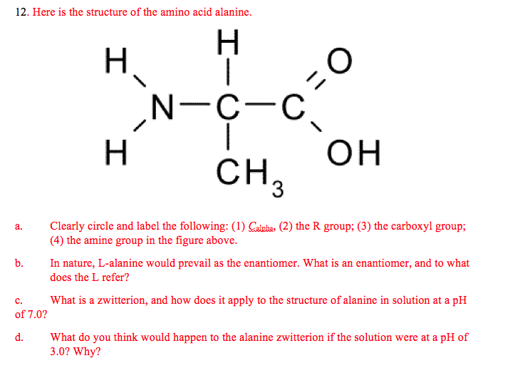 Аланин h. Amino acid structure. Аланин структура. Ала аминокислота. Альфа и бета аланин.