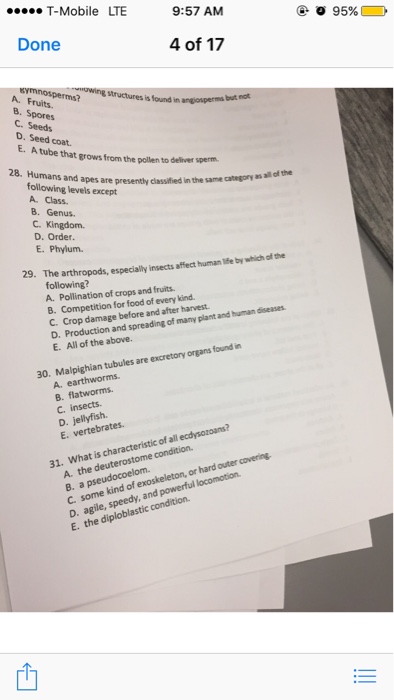 how are humans classified