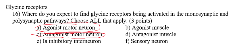 Solved Glycine receptors 16) Where do you expect to find | Chegg.com