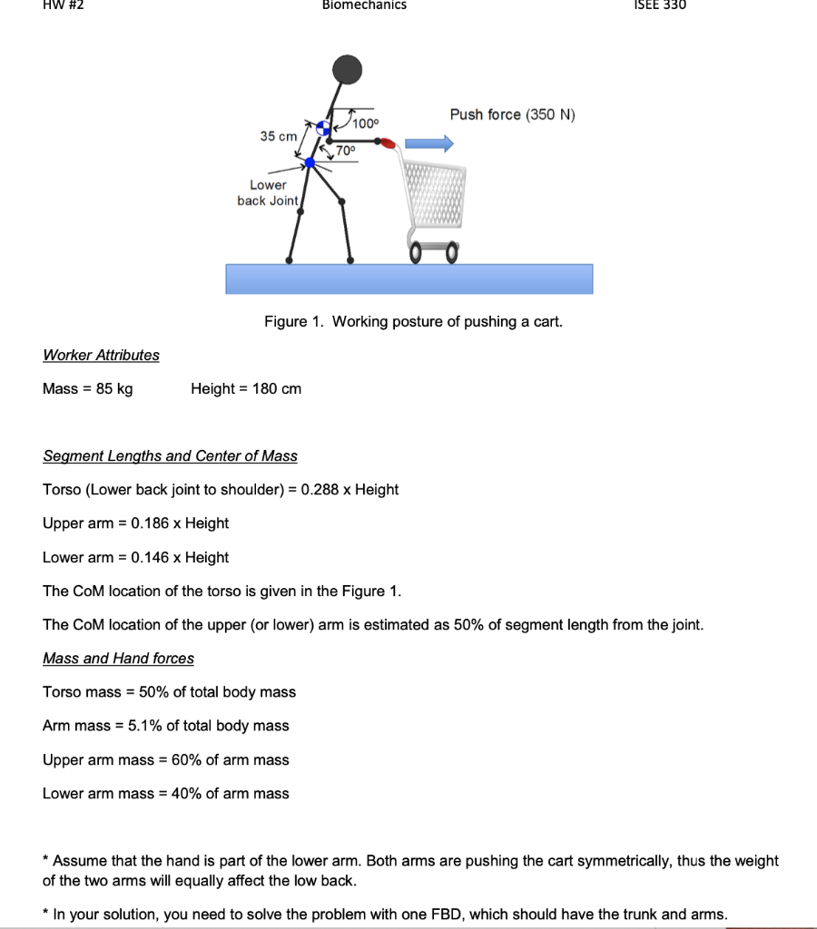 Solved Determine the body segments mass and the center-of- | Chegg.com