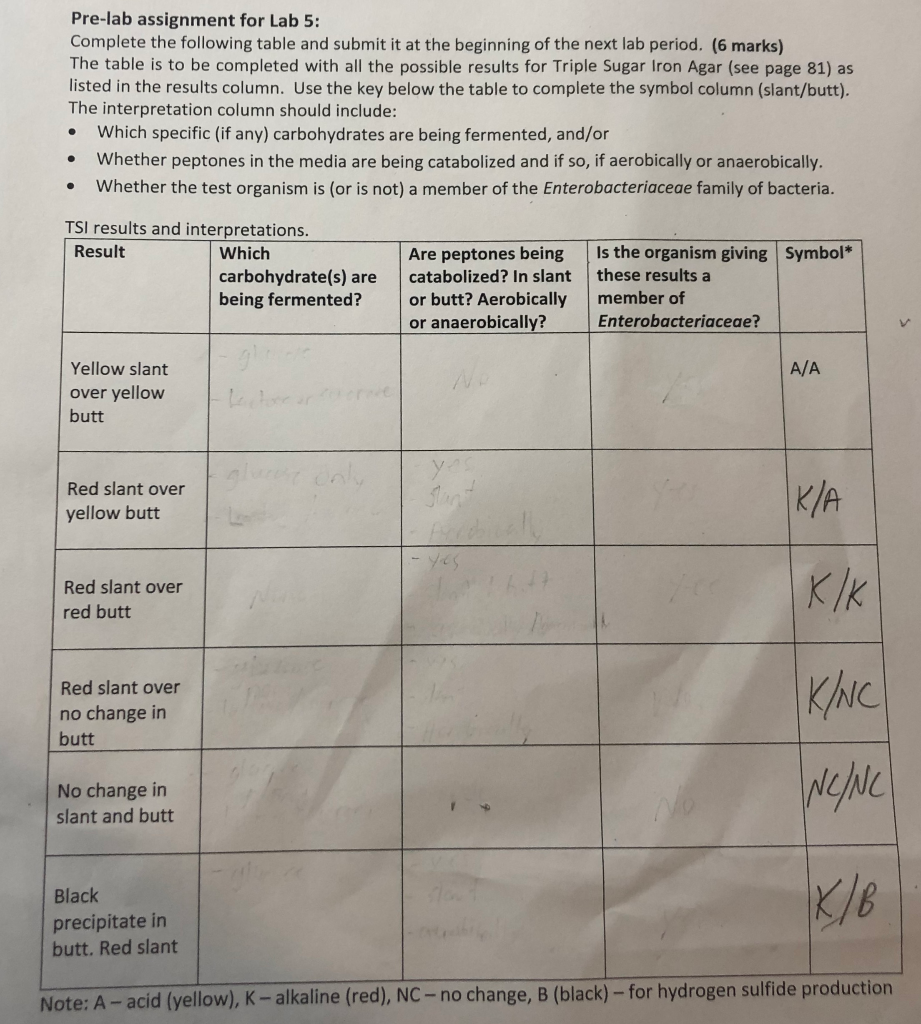 Solved Pre-lab assignment for Lab 5: Complete the following | Chegg.com