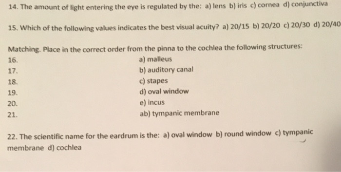 Solved 14. The amount of light entering the eye is regulated | Chegg.com