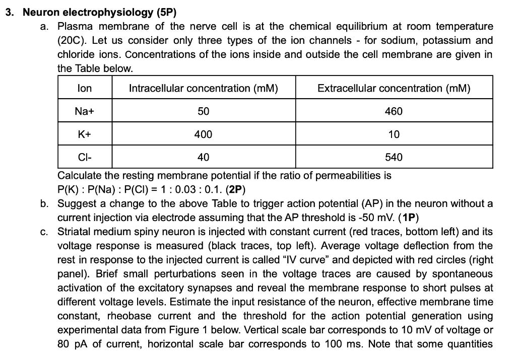 3 Neuron Electrophysiology 5p A Plasma Membrane