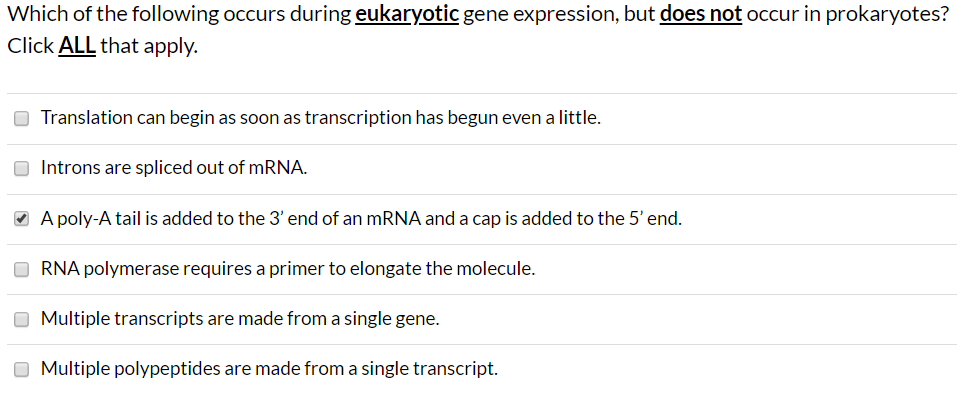 Solved Which of the following occurs during eukaryotic gene | Chegg.com