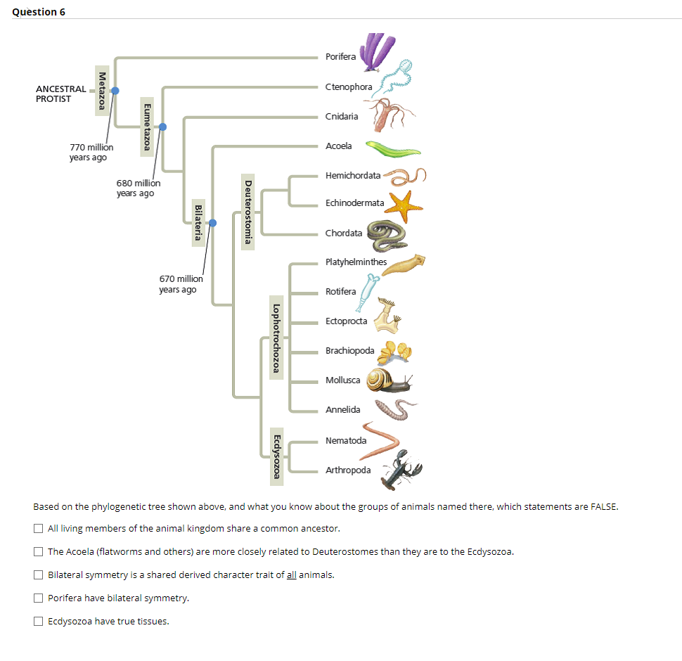 Solved Which of the following describe how freshwater fishes | Chegg.com