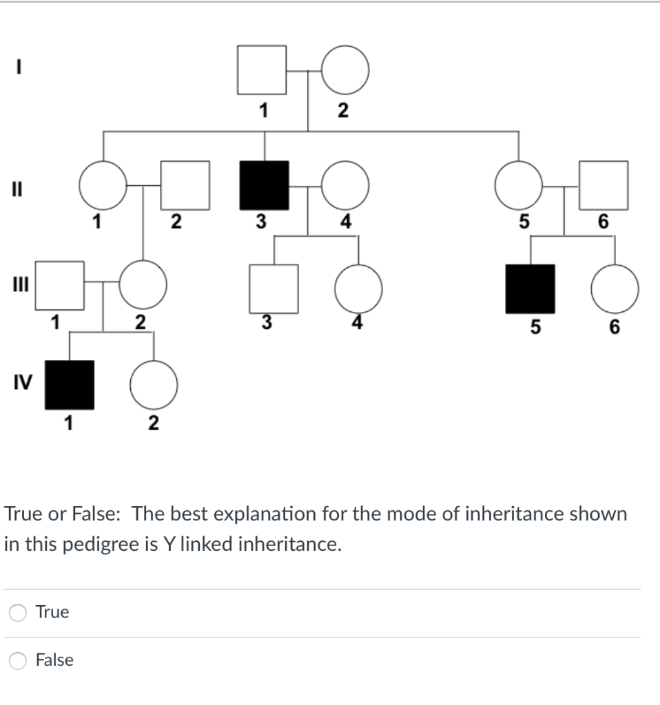 Solved O 2 4 6 5 6 1 2 True or False: The best explanation | Chegg.com