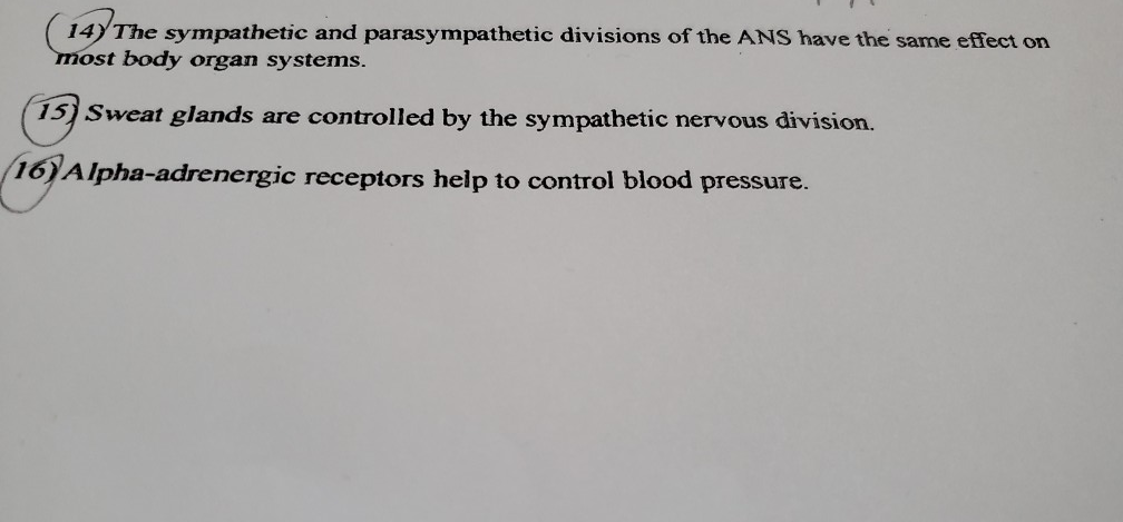 Solved (14) The sympathetic and parasympathetic divisions of | Chegg.com