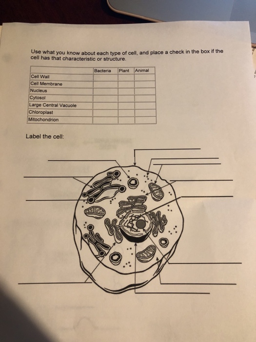 Solved Use what you know about each type of cell, and place | Chegg.com