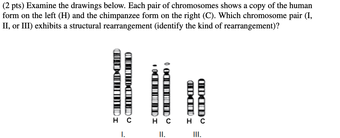 Solved (2 Pts) Examine The Drawings Below. Each Pair Of 