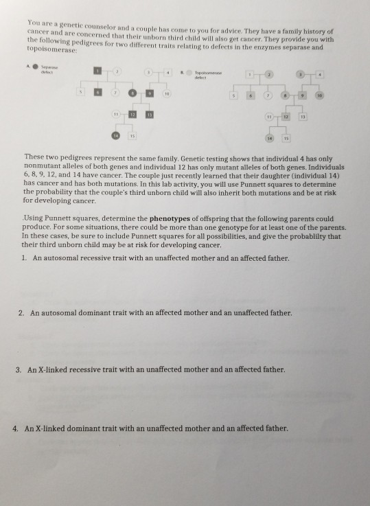 Solved You Are A Genetic Counselor And A Couple Has Come Chegg Com